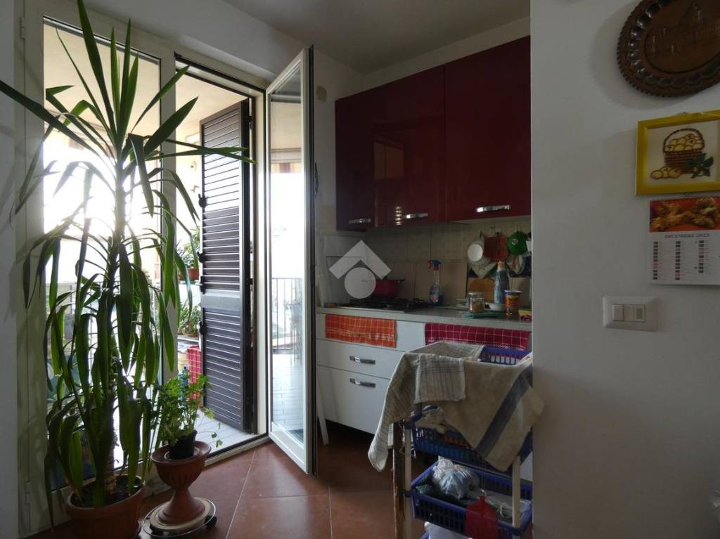 immagine annuncio 6 di 11