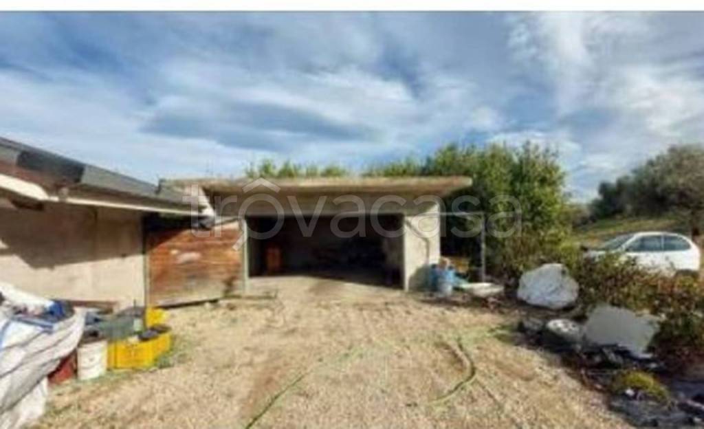 immagine annuncio 6 di 11