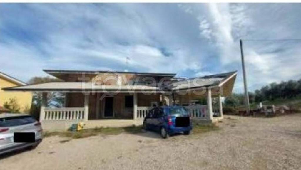 immagine annuncio 9 di 11