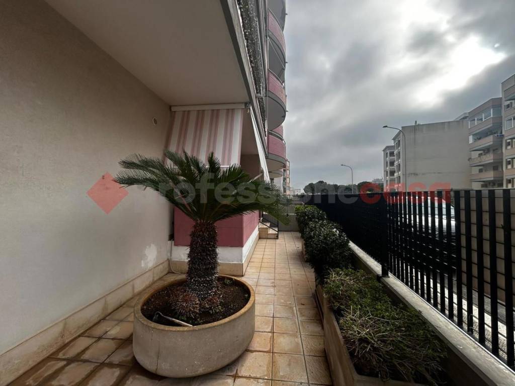 immagine annuncio 2 di 11