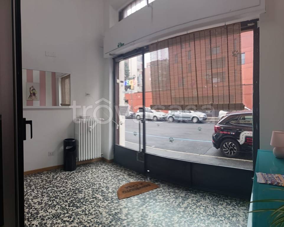 immagine annuncio 5 di 15