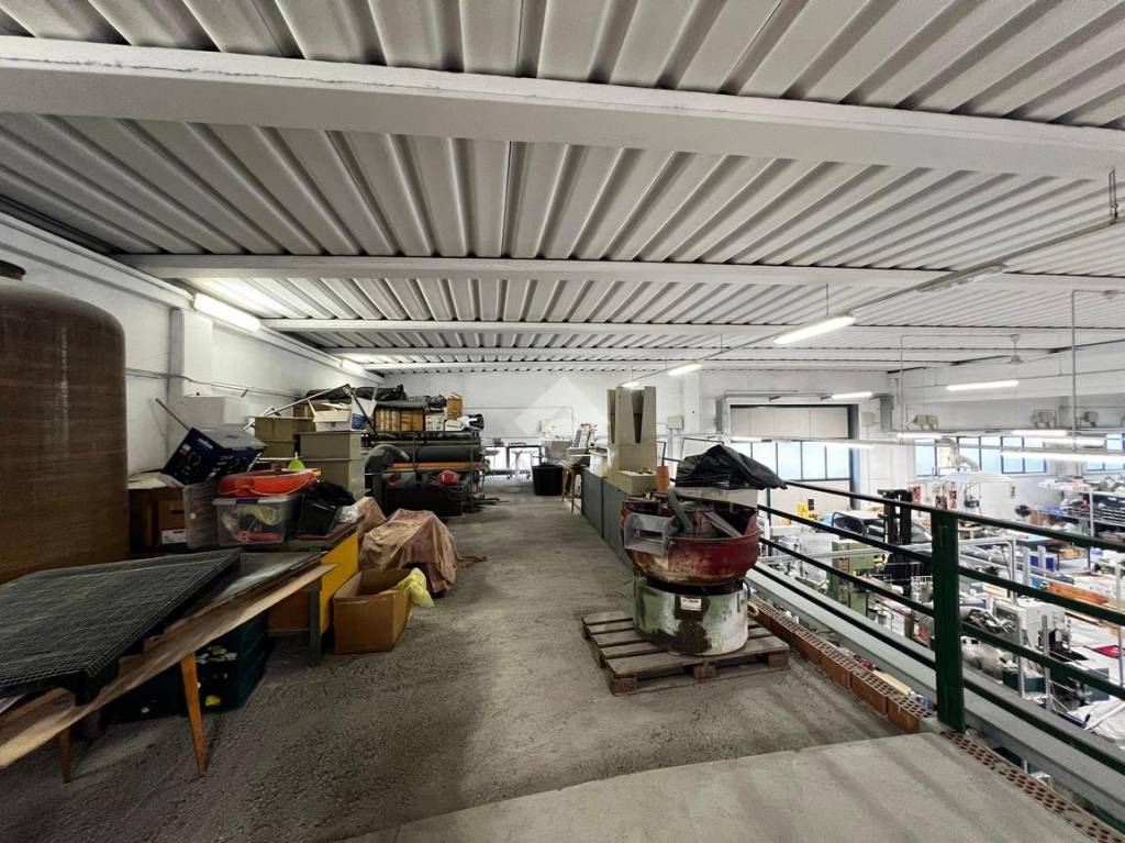 immagine annuncio 6 di 15