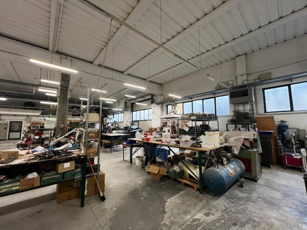 immagine annuncio 11 di 15