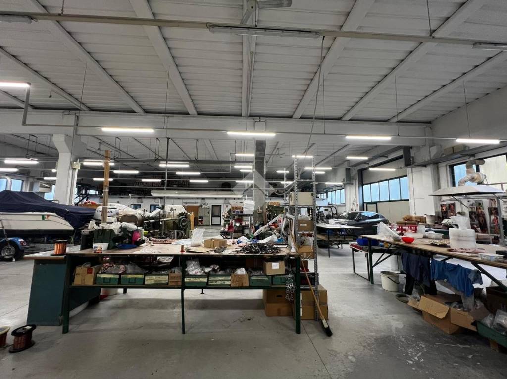 immagine annuncio 12 di 15