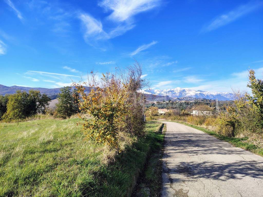 immagine annuncio 10 di 12