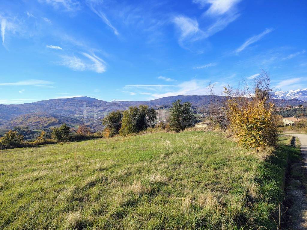 immagine annuncio 9 di 12