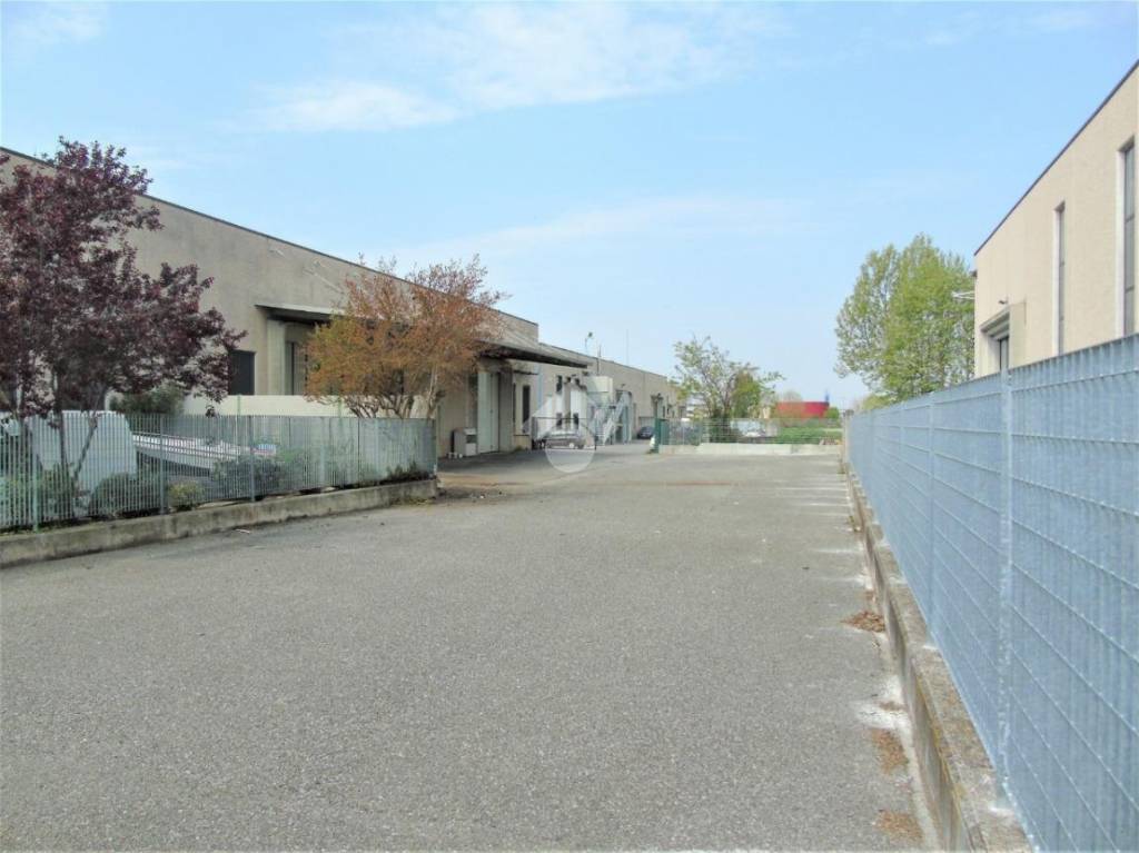 immagine annuncio 5 di 15