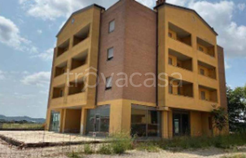 immagine annuncio 2 di 12