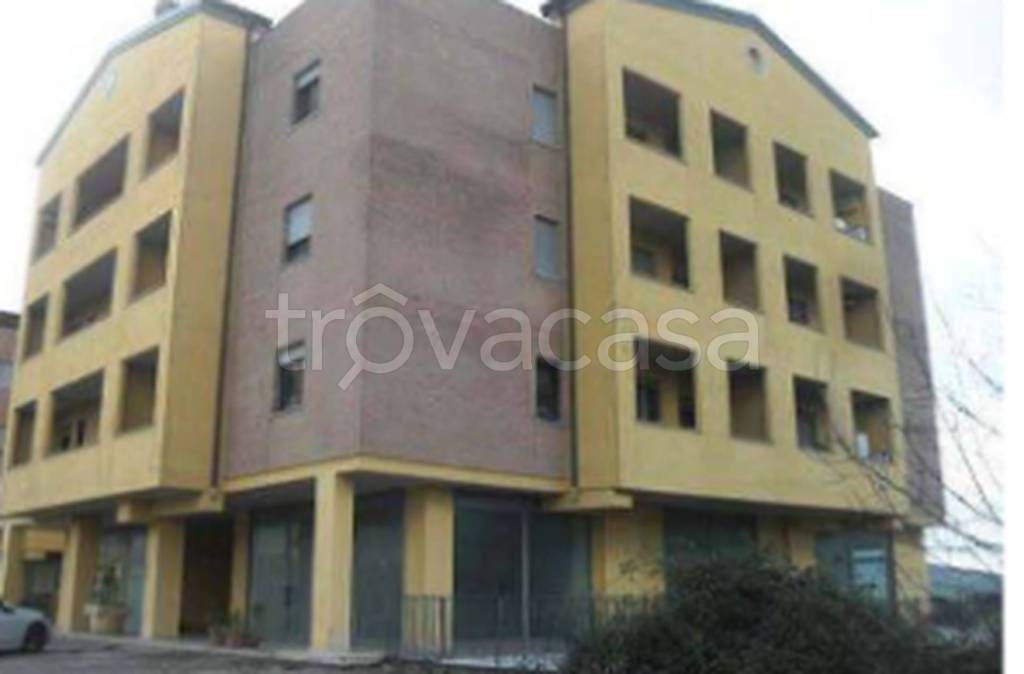 immagine annuncio 11 di 12