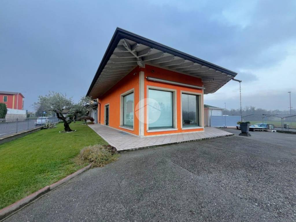 immagine annuncio 8 di 15