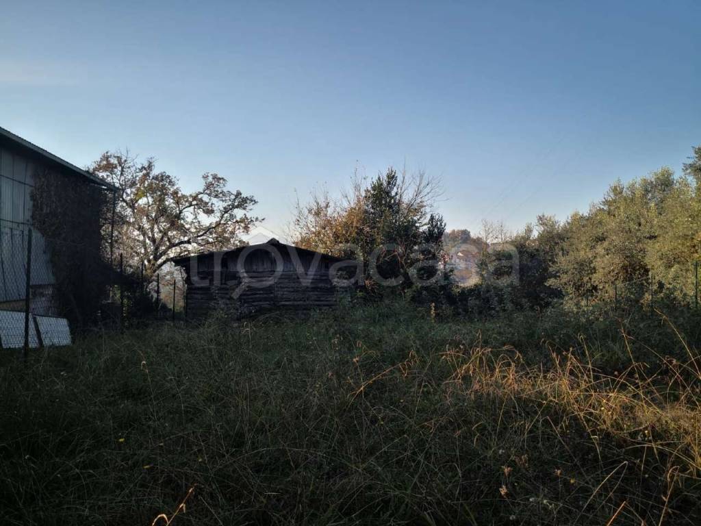 immagine annuncio 1 di 4