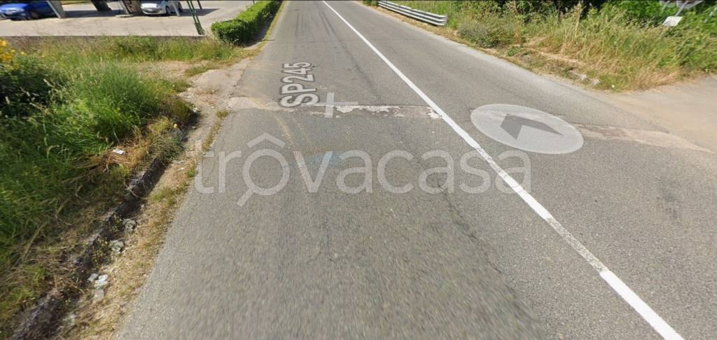 immagine annuncio 1 di 12