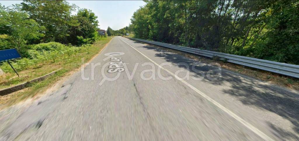 immagine annuncio 5 di 12