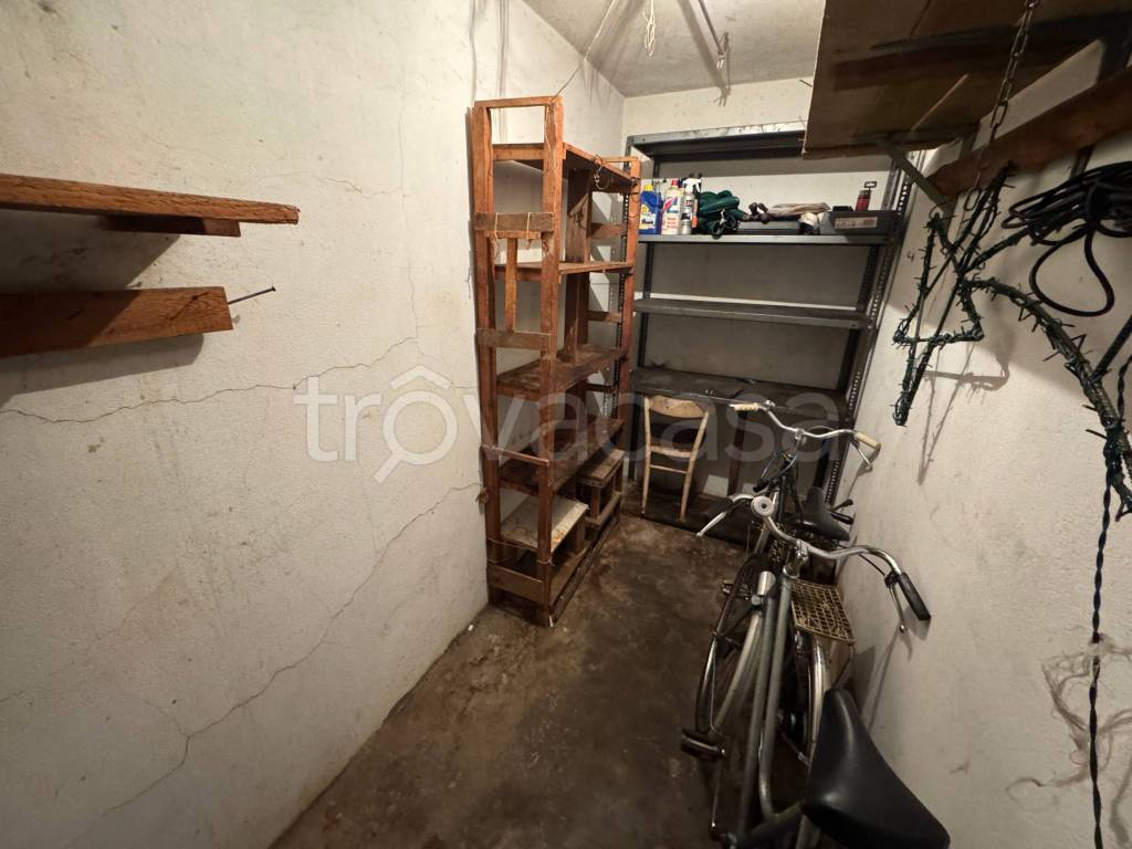 immagine annuncio 12 di 14