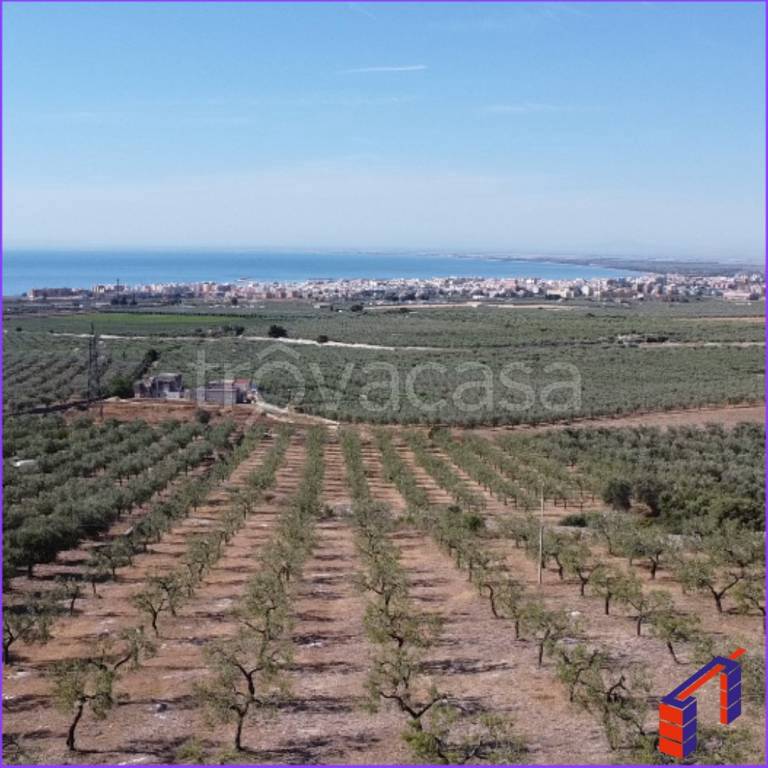 immagine annuncio 6 di 7