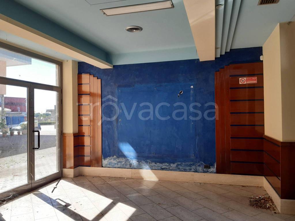 immagine annuncio 3 di 7