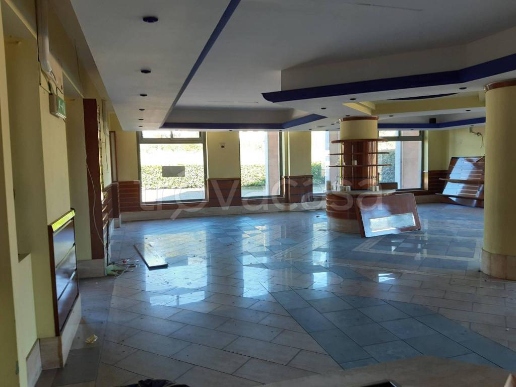 immagine annuncio 4 di 7