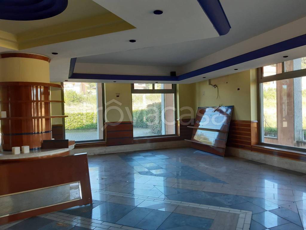 immagine annuncio 6 di 7