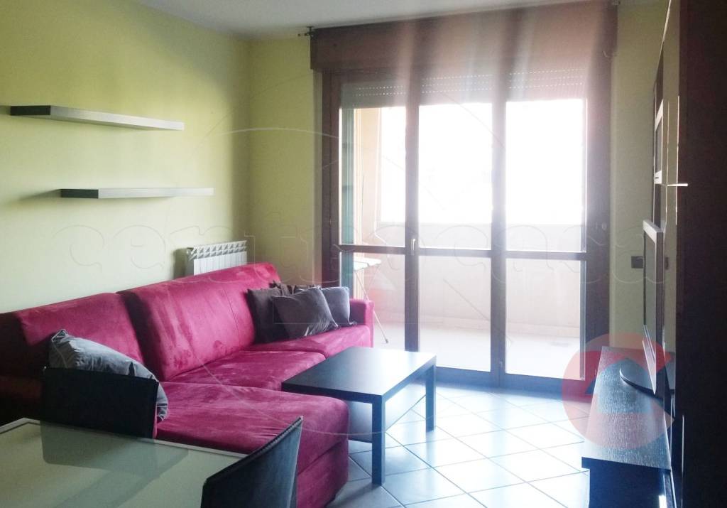 immagine annuncio 4 di 14