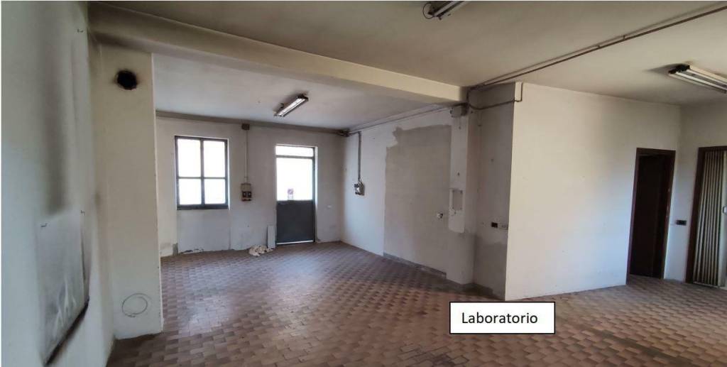 immagine annuncio 5 di 11