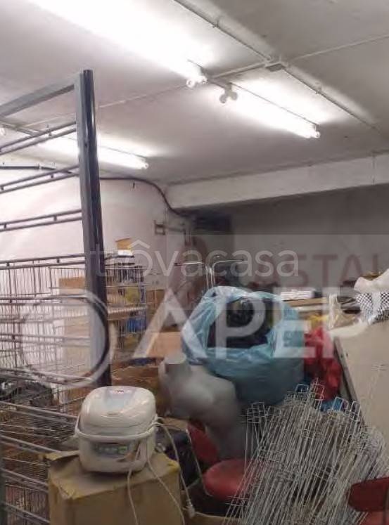 immagine annuncio 9 di 14