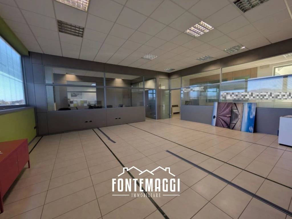 immagine annuncio 2 di 12