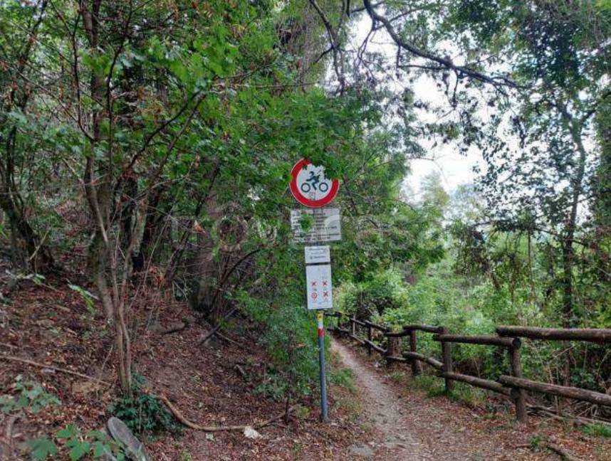 immagine annuncio 7 di 13