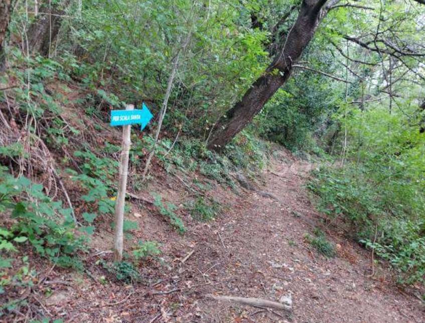 immagine annuncio 8 di 13