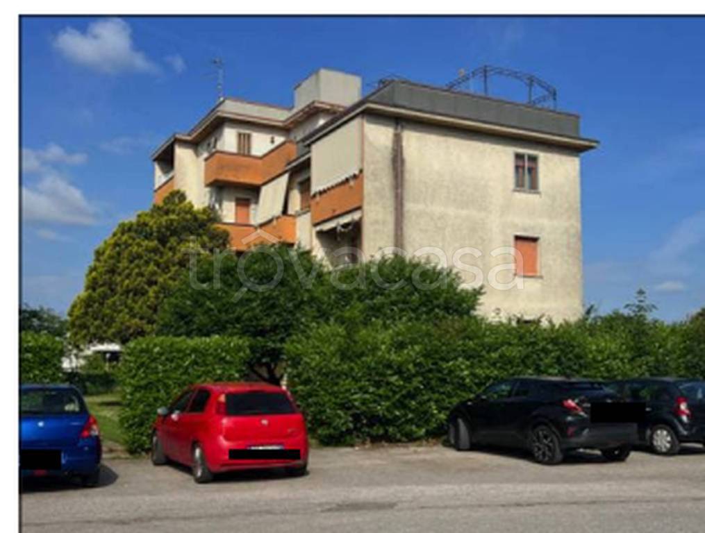 immagine annuncio 1 di 11