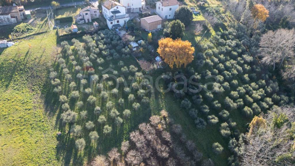 immagine annuncio 5 di 8