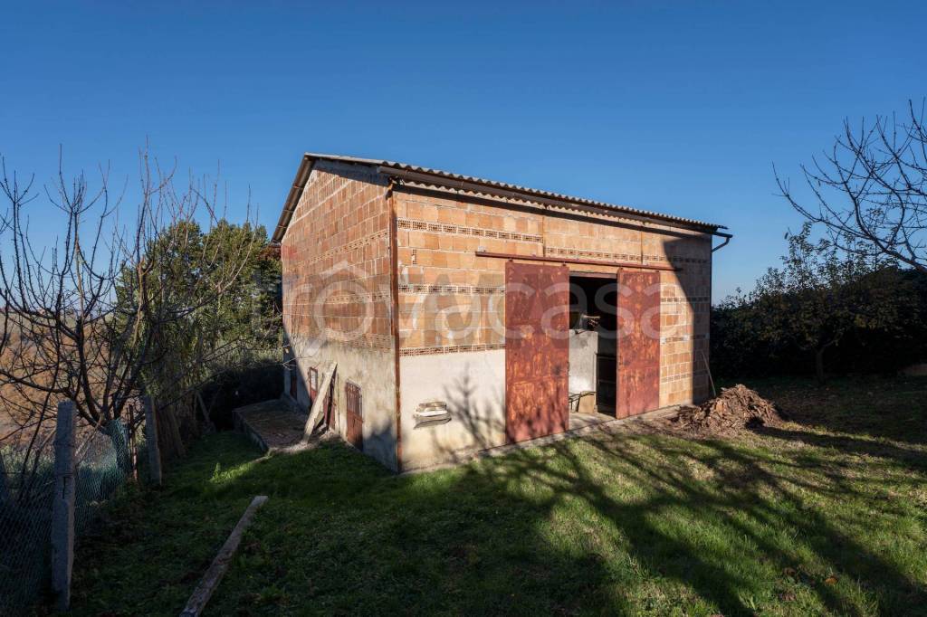 immagine annuncio 6 di 8