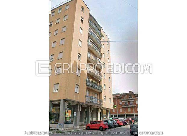 immagine annuncio 9 di 14