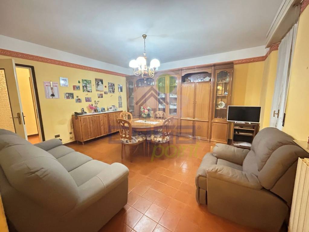 immagine annuncio 3 di 14