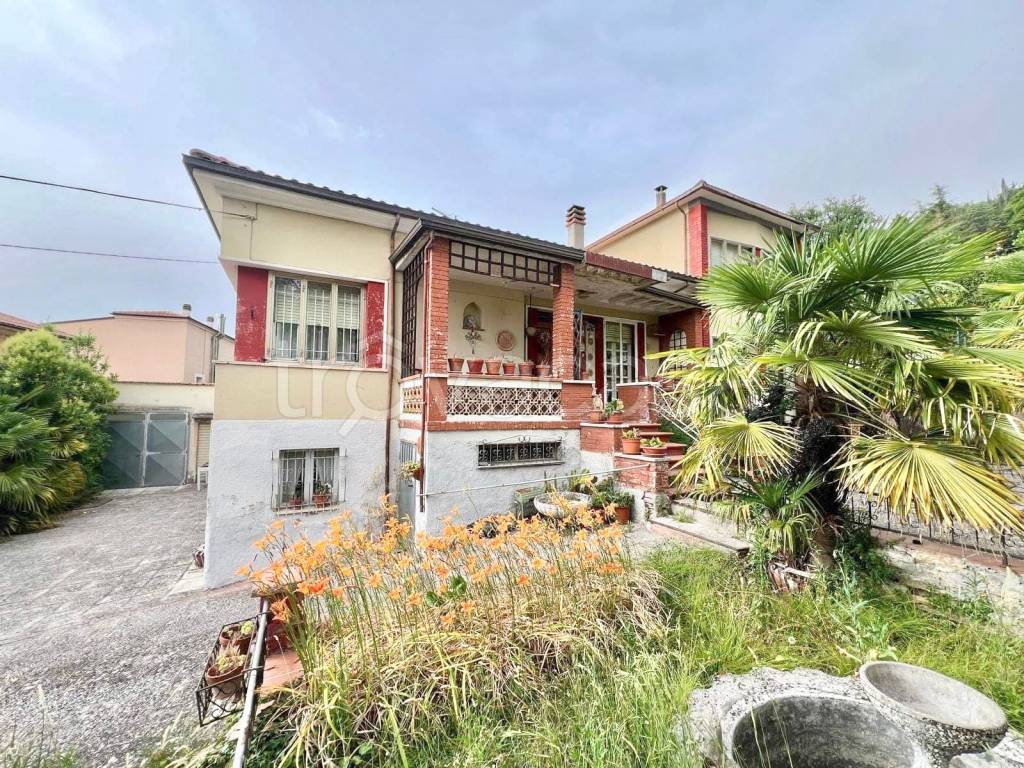 immagine annuncio 1 di 14