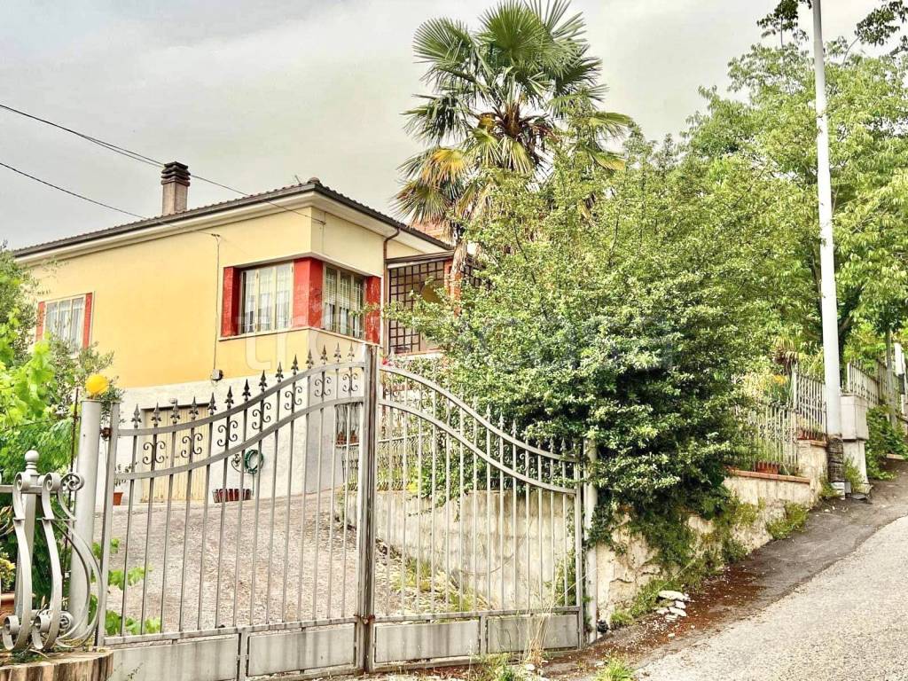 immagine annuncio 3 di 14