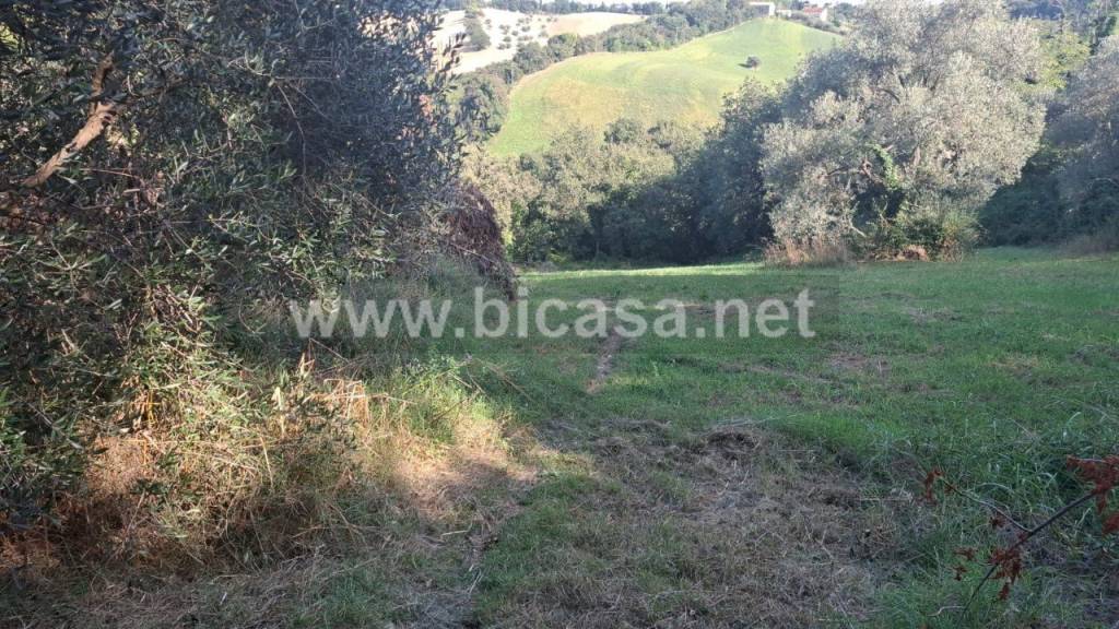 immagine annuncio 3 di 9