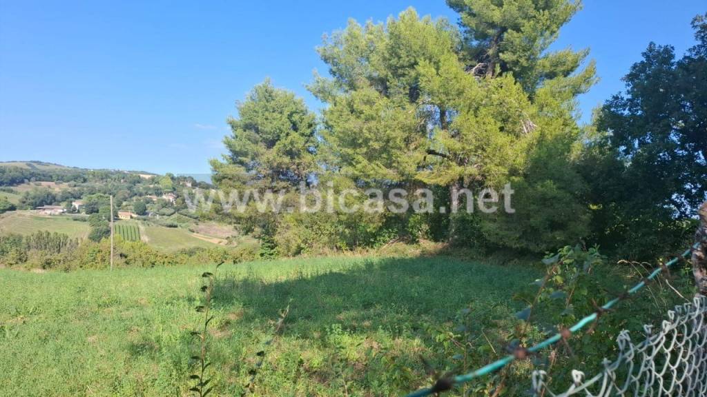 immagine annuncio 8 di 9