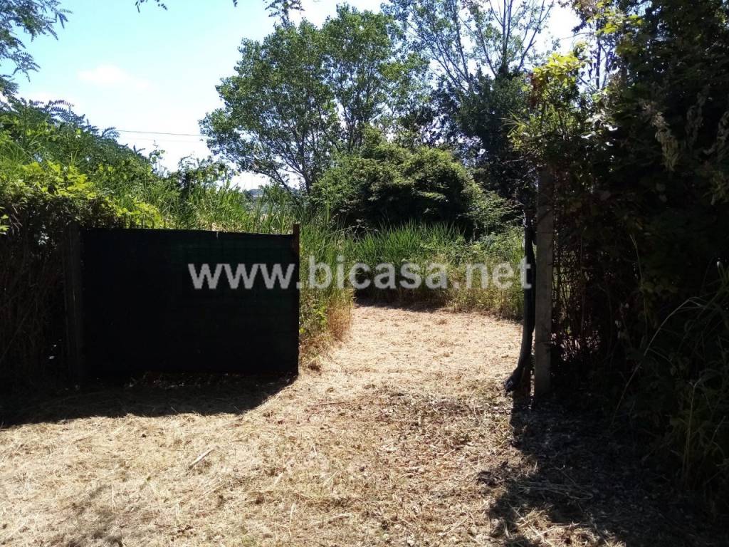 immagine annuncio 2 di 12