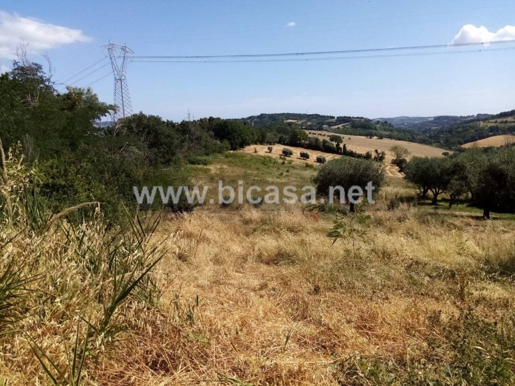 immagine annuncio 7 di 12