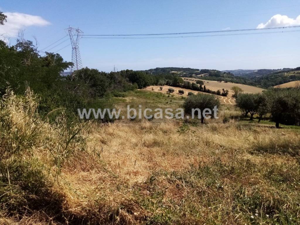 immagine annuncio 8 di 12