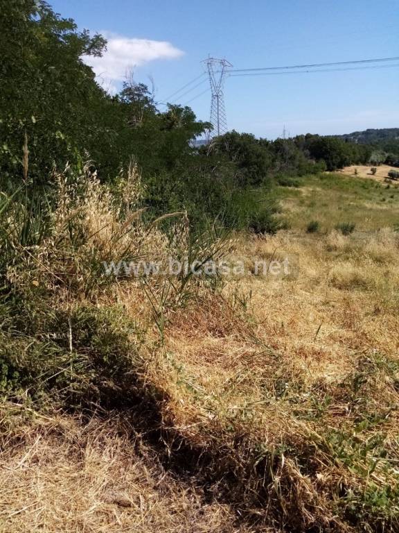 immagine annuncio 9 di 12