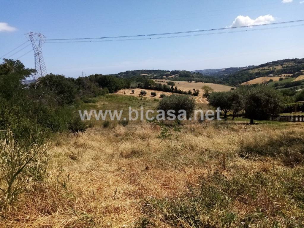 immagine annuncio 10 di 12