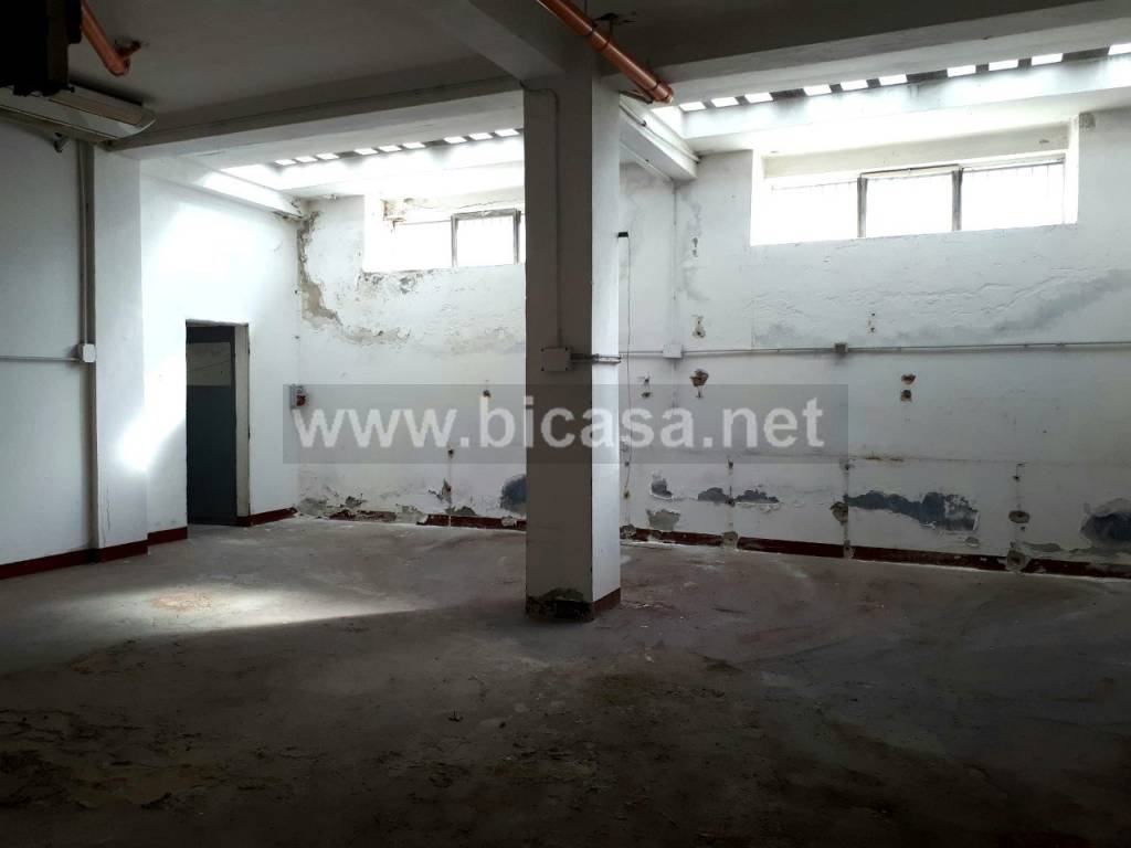 immagine annuncio 1 di 4