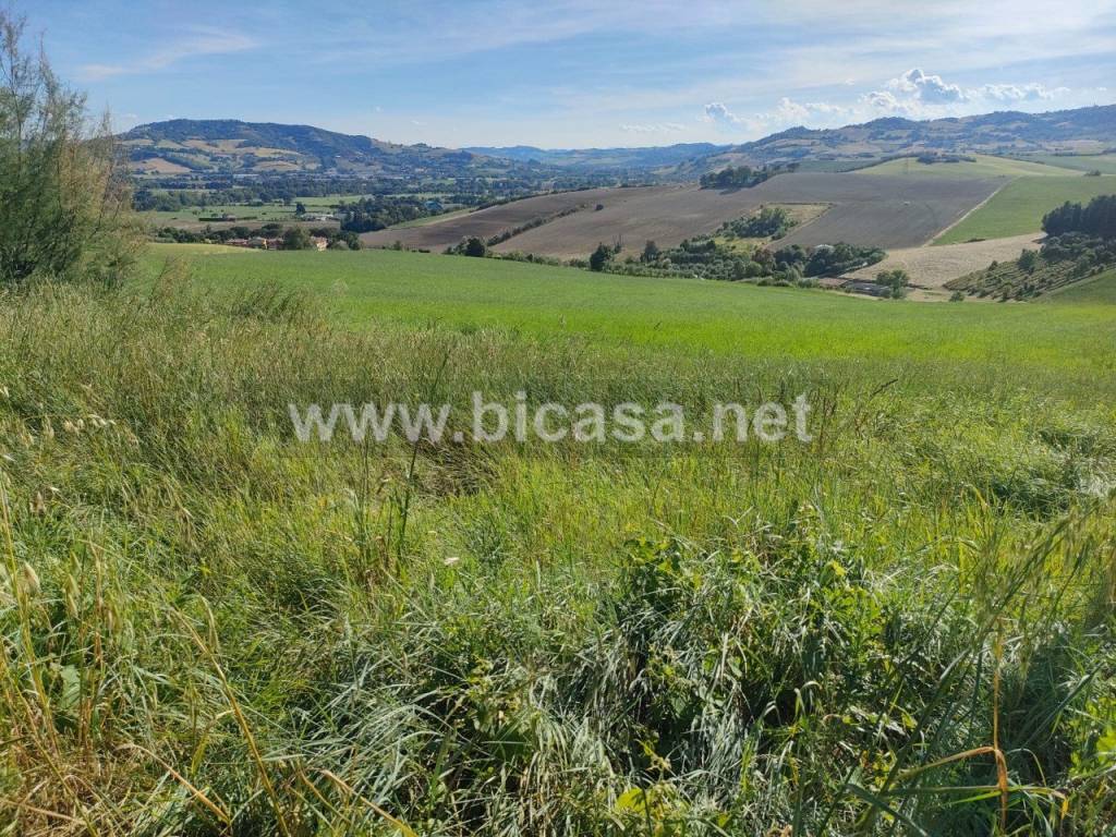 immagine annuncio 2 di 9