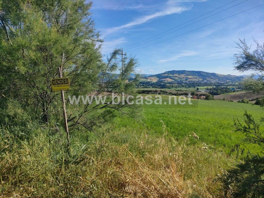 immagine annuncio 6 di 9