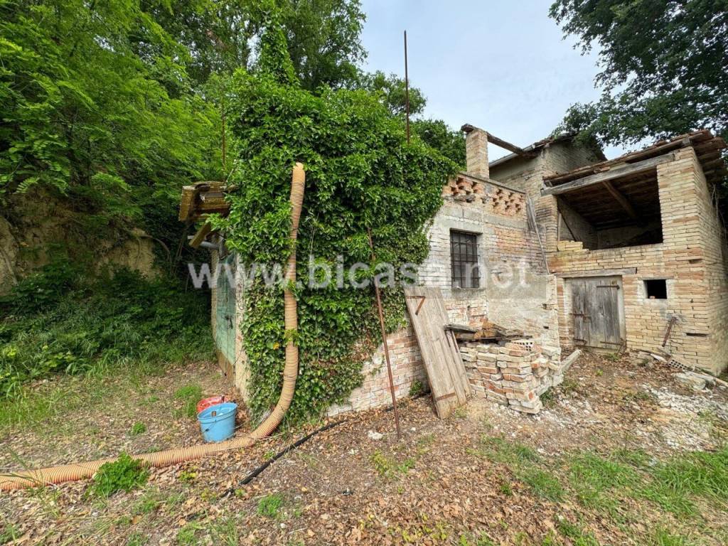 immagine annuncio 1 di 8