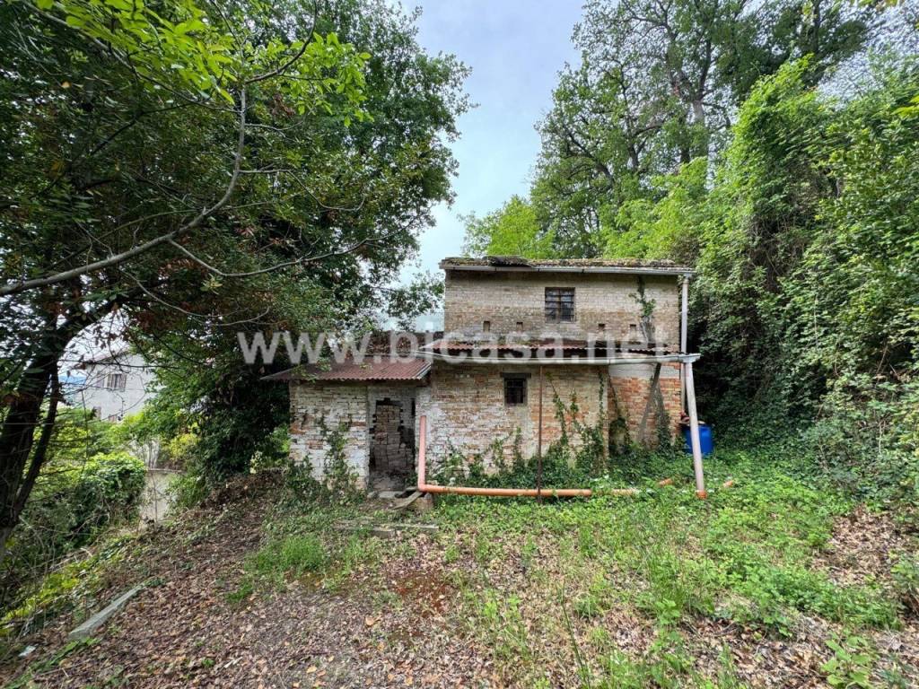 immagine annuncio 2 di 8