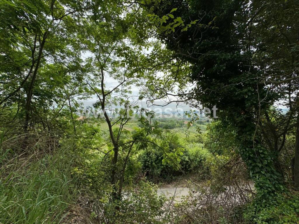 immagine annuncio 3 di 8