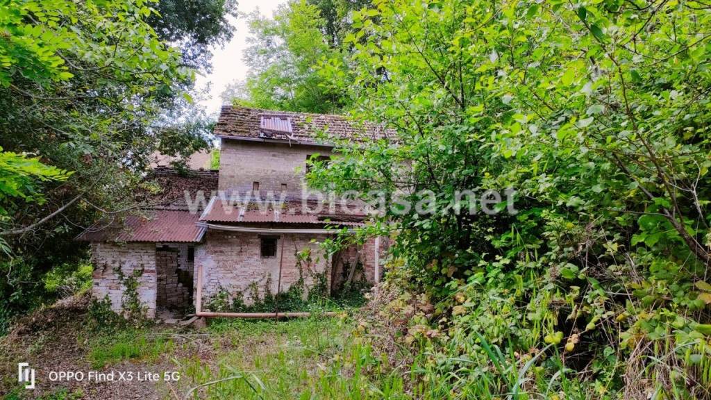 immagine annuncio 4 di 8