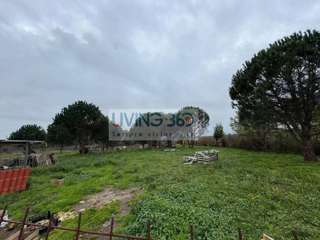 immagine annuncio 2 di 6